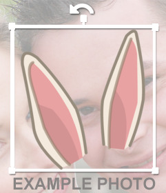 Thư viện ảnh sticker rabbit cute Hình nền tiện lợi miễn phí
