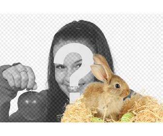 chụp ảnh với thỏ trứng phục sinh để them vao ảnh của bạn trực tuyến miễn phi