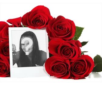 khung ảnh online được bao quanh bởi một bo hoa hồng