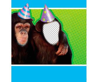 chụp ảnh với một khỉ đội mũ dự tiệc