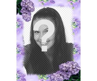 hoa violet để trang tri ảnh của bạn với hiệu ứng trực tuyến