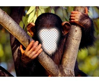 chụp ảnh vui nhộn để đặt khuon mặt của bạn vao một khỉ