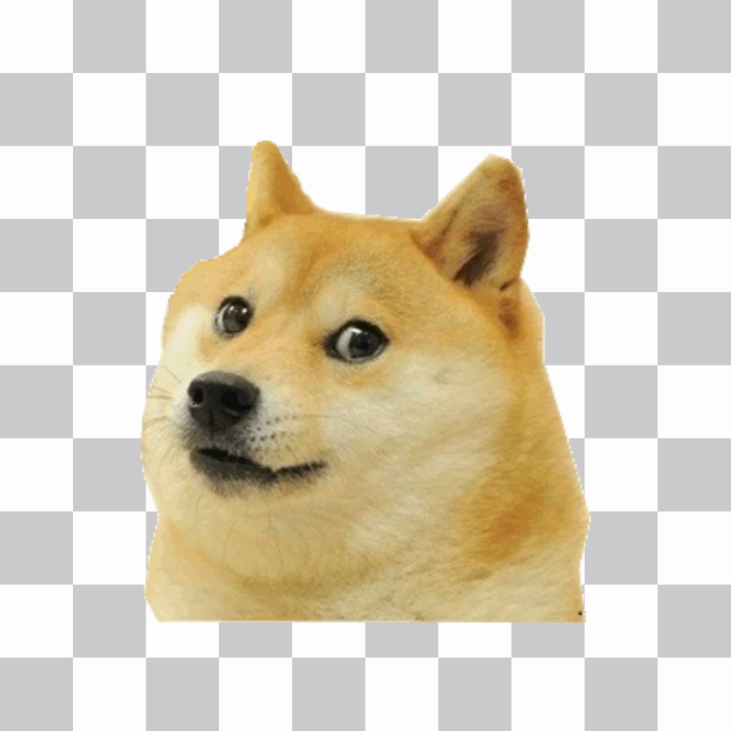 Sticker hình dán Doge meme ..