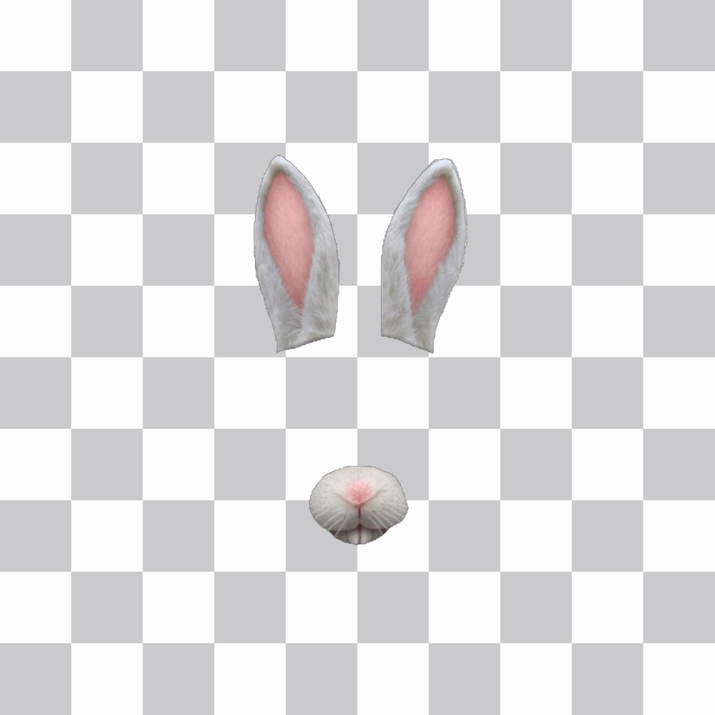rabbit-ears-5..